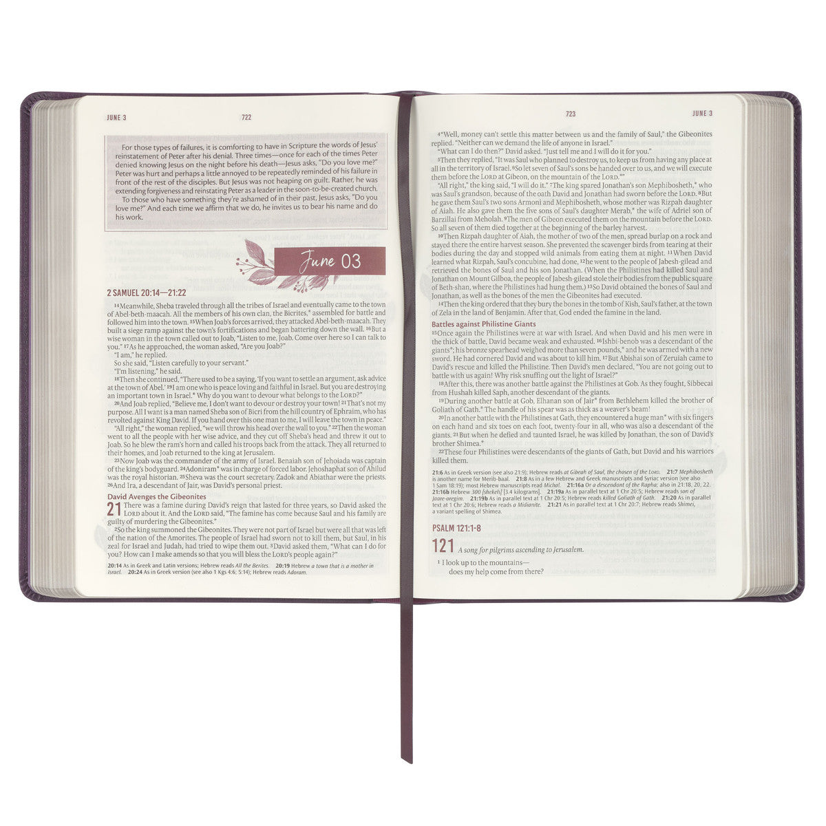Framed Purple Faux Leather NLT Everyday Devotional Bible for Women - The Christian Gift Company