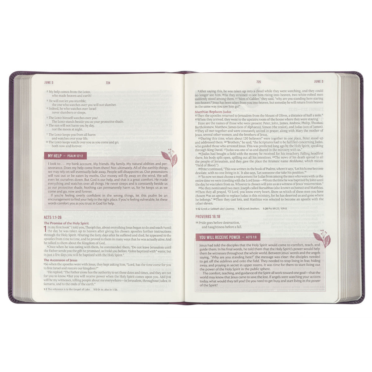 Framed Purple Faux Leather NLT Everyday Devotional Bible for Women - The Christian Gift Company