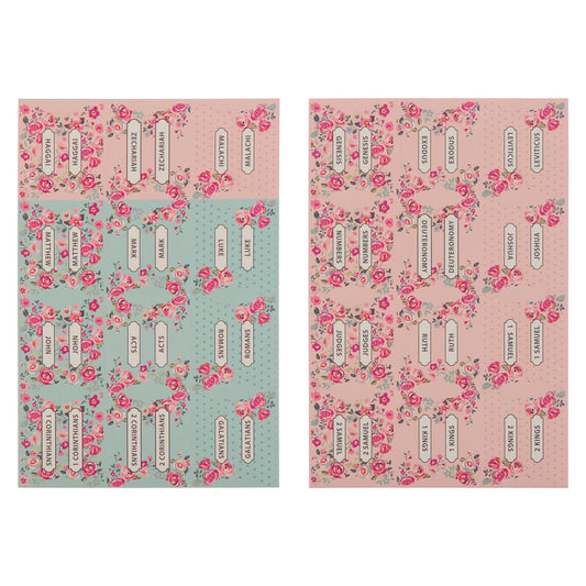 Pink and Blue Old and New Testament Bible Index Tabs - The Christian Gift Company