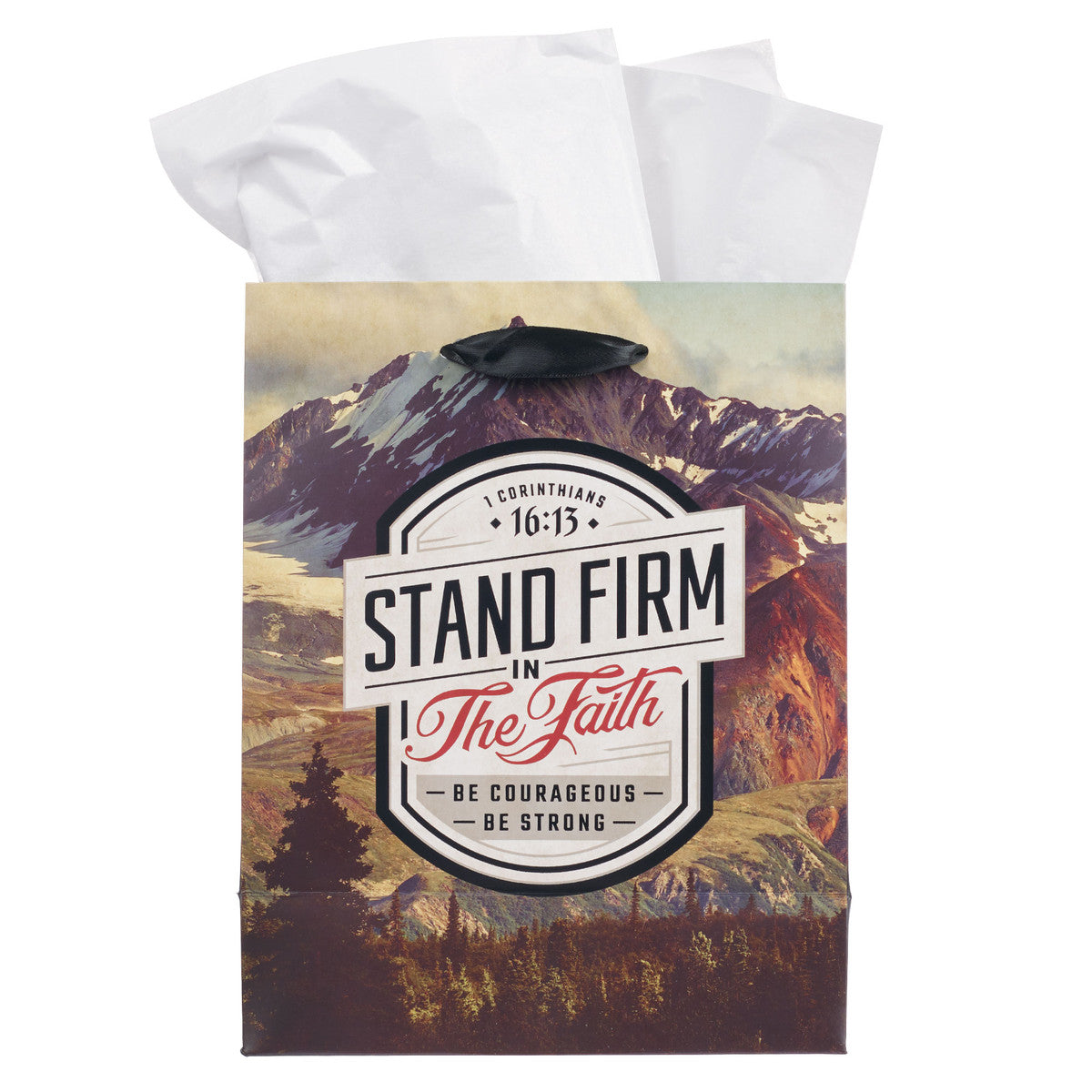 Stand Firm in the Faith Mountain View Medium Gift Bag - 1 Corinthians 16:14 - The Christian Gift Company