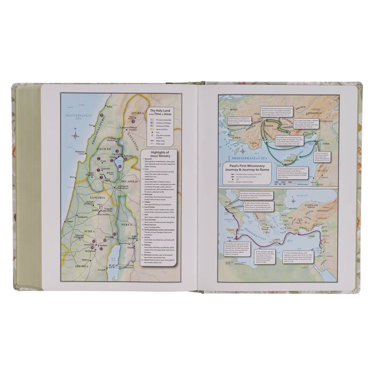Sage Green Hardcover Large Print King James Version Note-taking Bible - Luke 22:42 - The Christian Gift Company