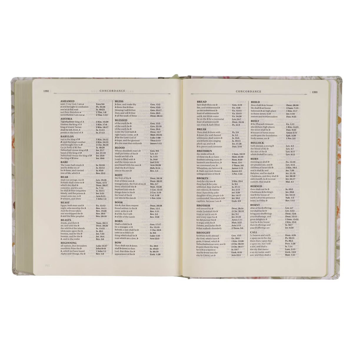 Sage Green Hardcover Large Print King James Version Note-taking Bible - Luke 22:42 - The Christian Gift Company