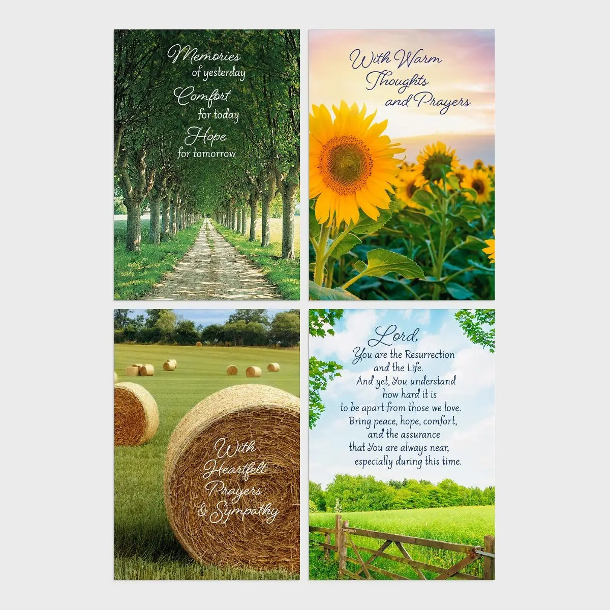 Sympathy - Fields of Comfort - 12 Count Boxed Cards and Envelopes, KJV - The Christian Gift Company