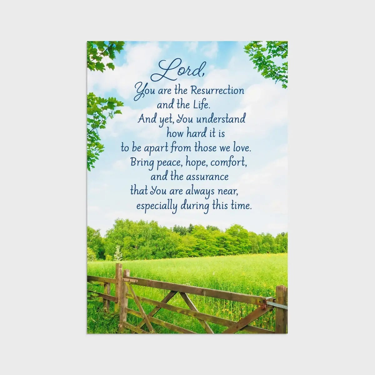 Sympathy - Fields of Comfort - 12 Count Boxed Cards and Envelopes, KJV - The Christian Gift Company