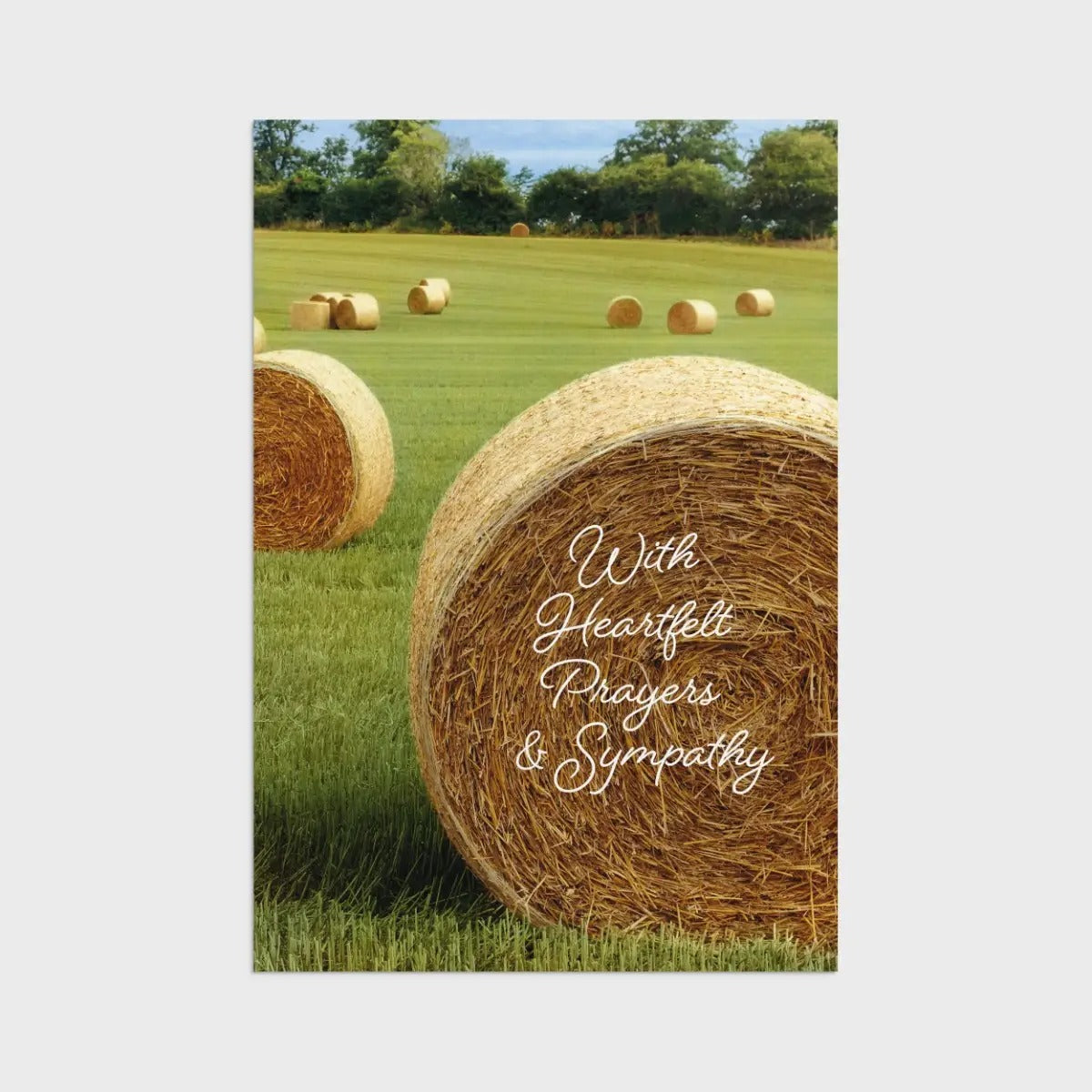 Sympathy - Fields of Comfort - 12 Count Boxed Cards and Envelopes, KJV - The Christian Gift Company