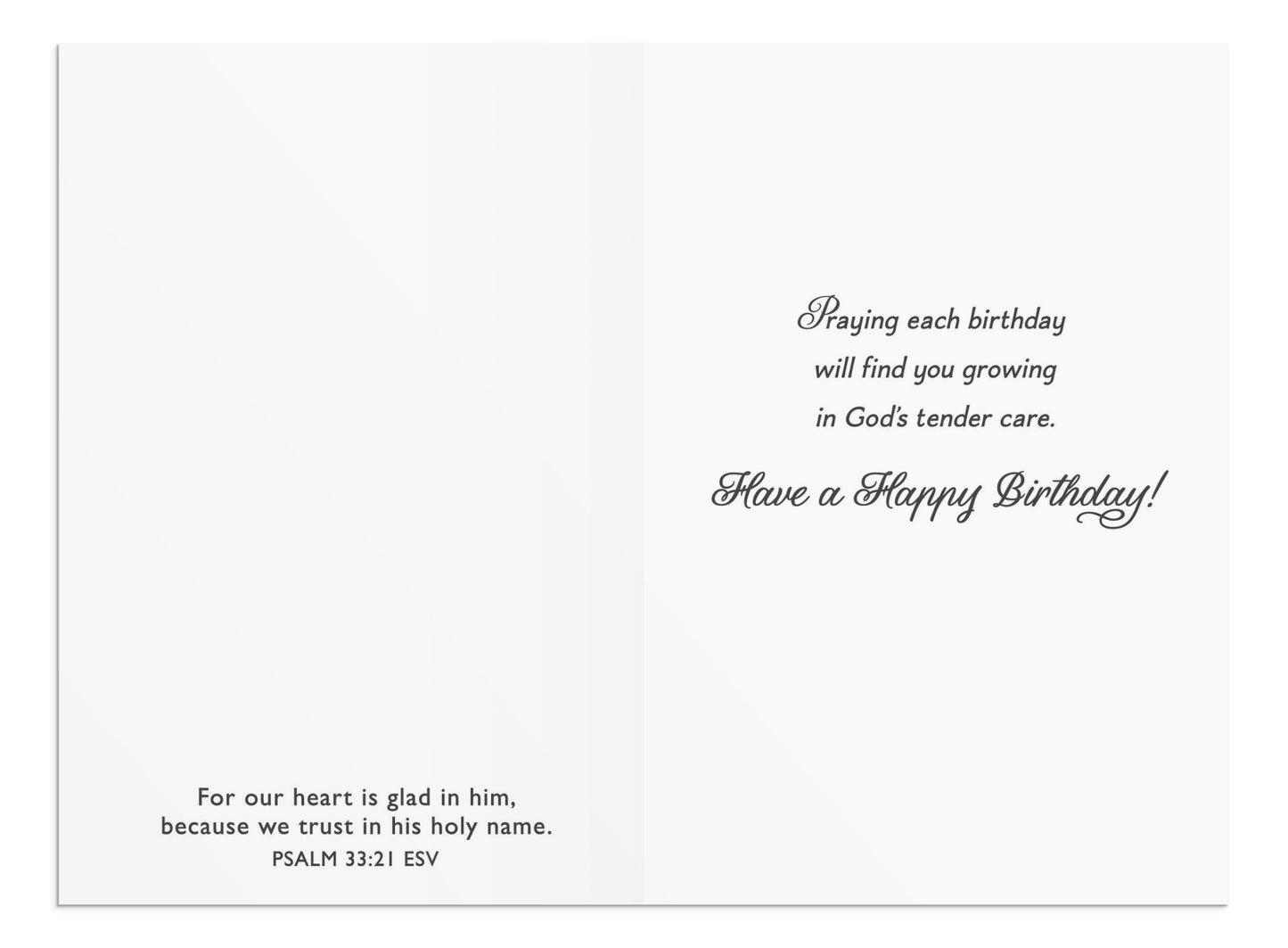 Marjolein Bastin - Birthday - 12 Boxed Cards and Envelopes - The Christian Gift Company