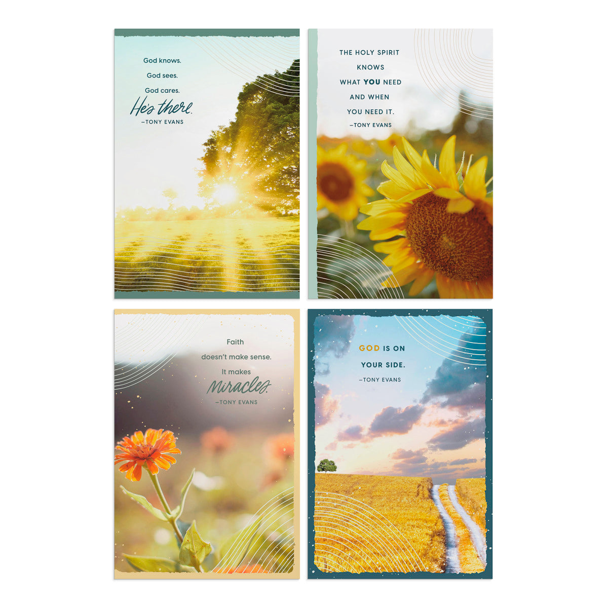 Praying for You - Tony Evans - 12 Count Boxed Cards and Envelopes - The Christian Gift Company