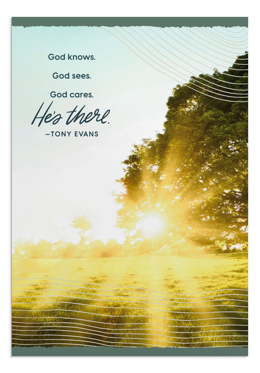Praying for You - Tony Evans - 12 Count Boxed Cards and Envelopes - The Christian Gift Company