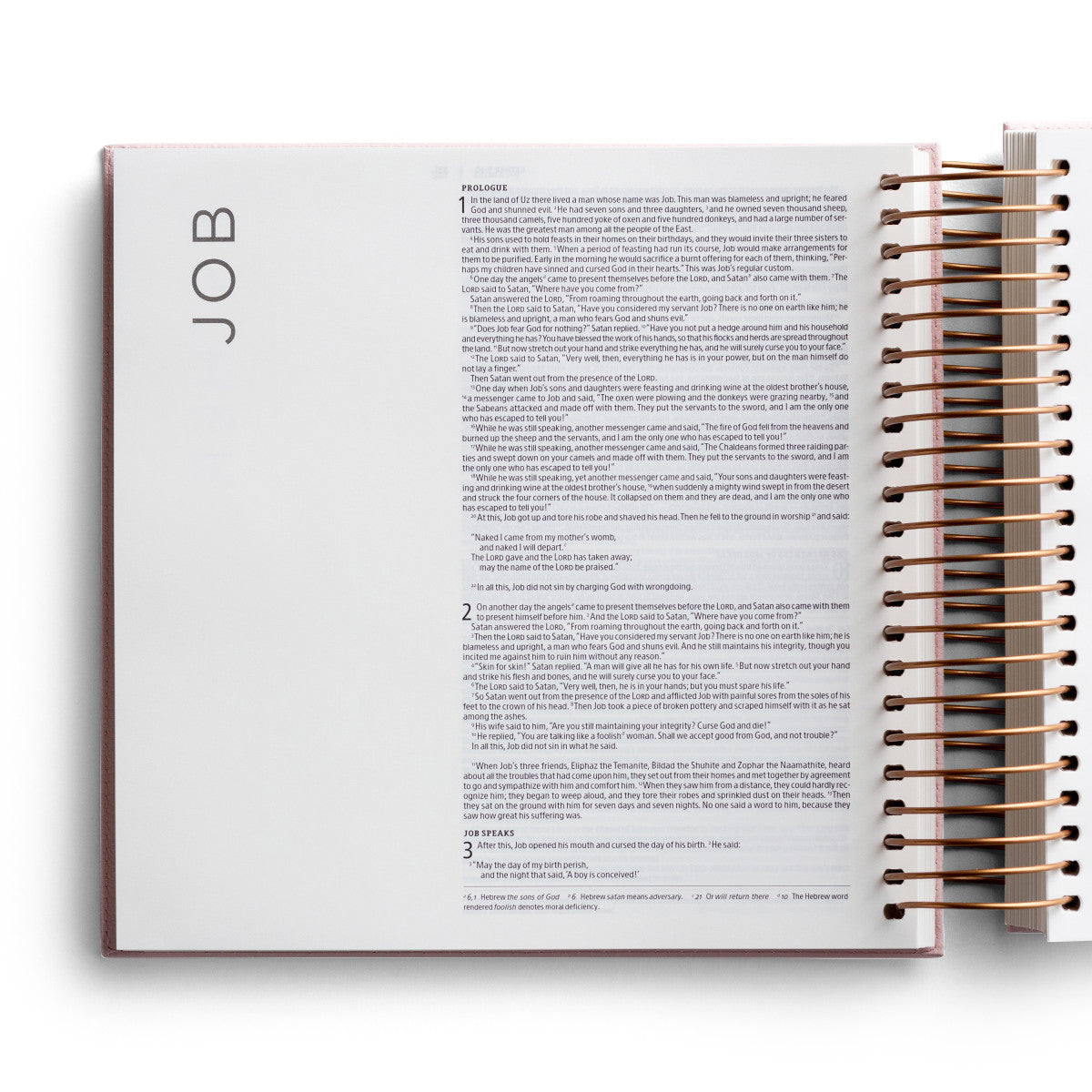 Illustrating Bible NIV Pink (Spiral Bound)