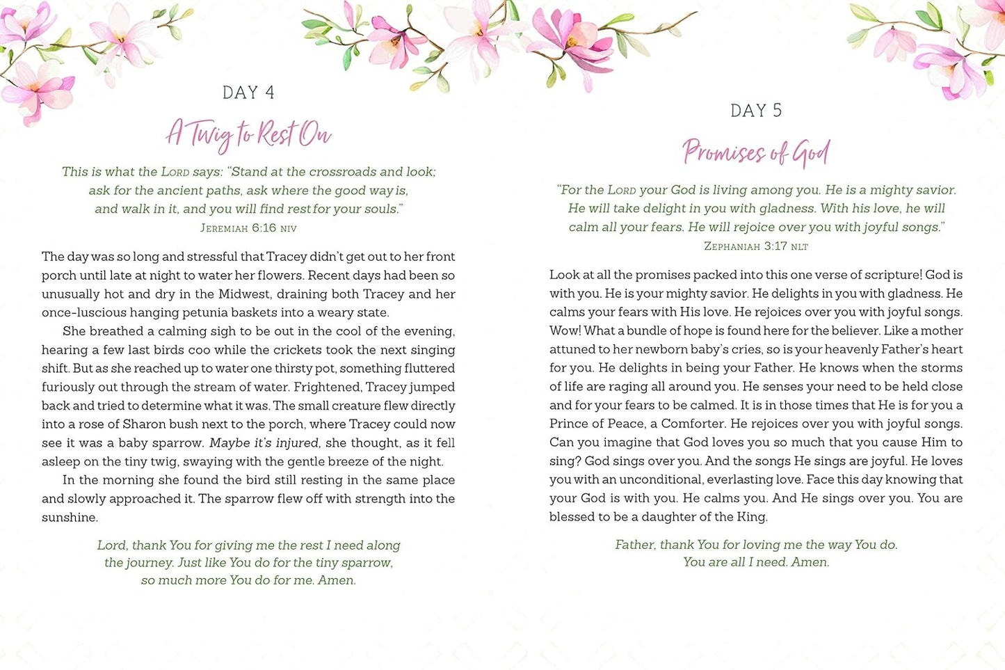 Daily Devotions for a Woman of Faith - The Christian Gift Company