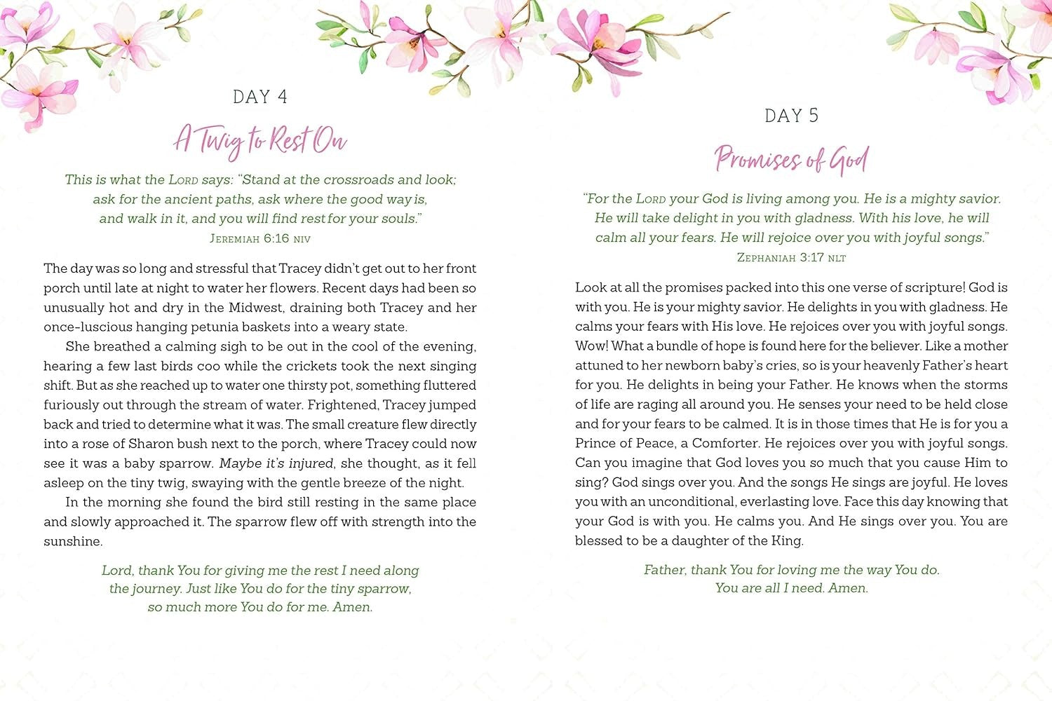Daily Devotions for a Woman of Faith - The Christian Gift Company