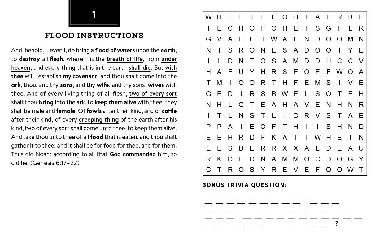 Bonus Trivia Bible Word Searches Large Print - The Christian Gift Company