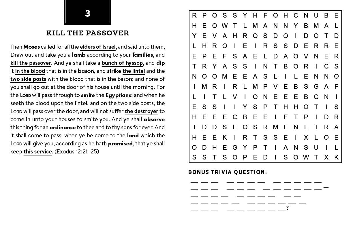 Bonus Trivia Bible Word Searches Large Print - The Christian Gift Company