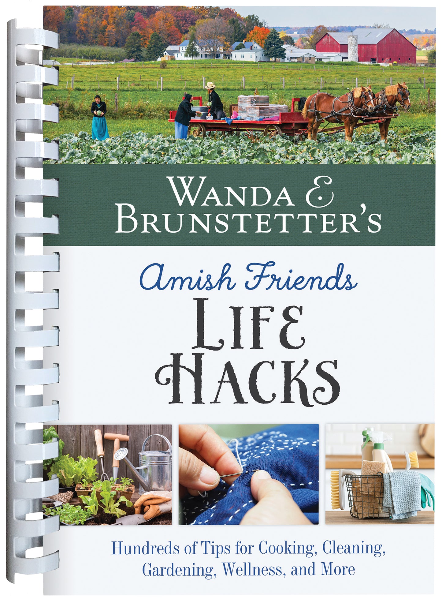 Wanda E. Brunstetter's Amish Friends Life Hacks - The Christian Gift Company