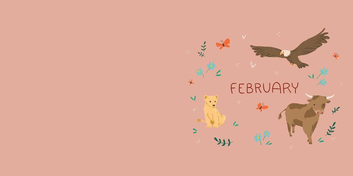 A Year of Bible Animal Stories - The Christian Gift Company