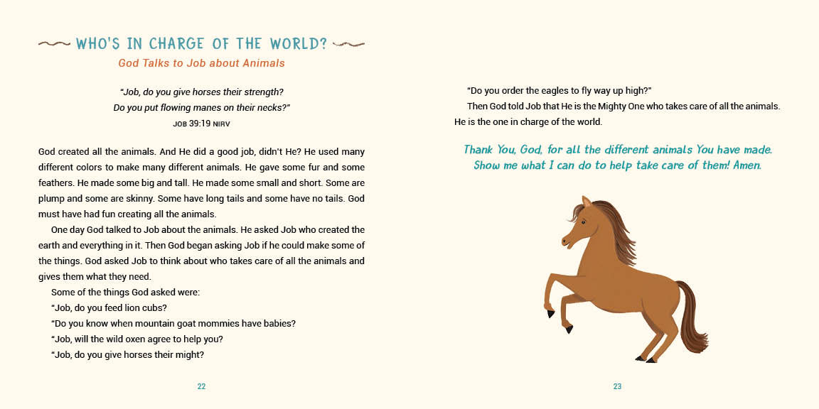 A Year of Bible Animal Stories - The Christian Gift Company