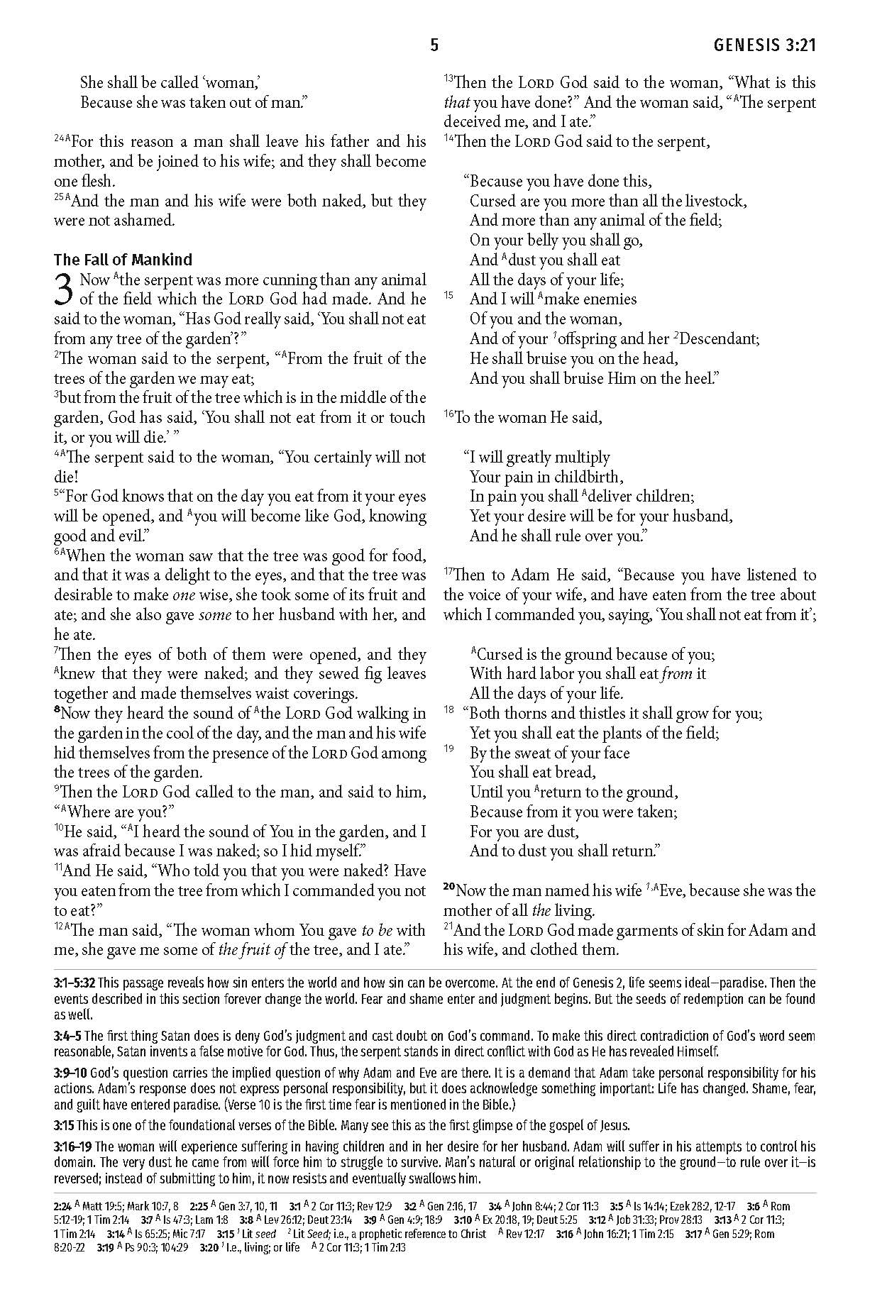 Light for Life NASB Study Bible (Mahogany Lighthouse) - The Christian Gift Company