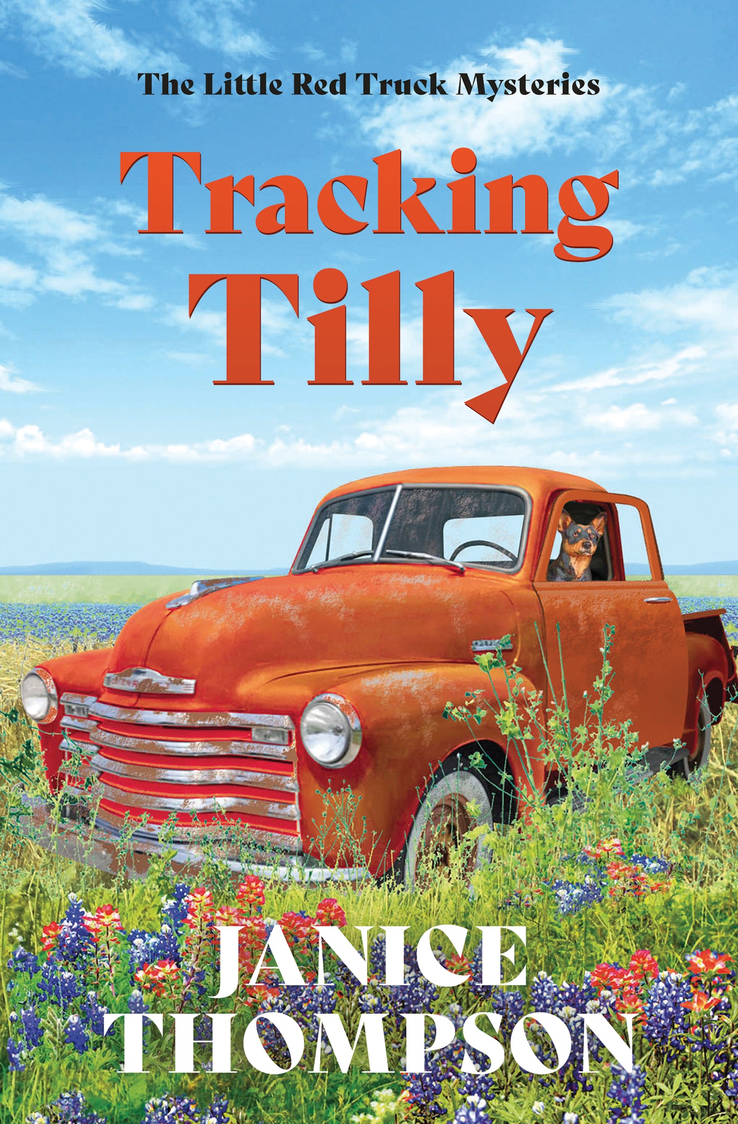 Tracking Tilly - The Christian Gift Company