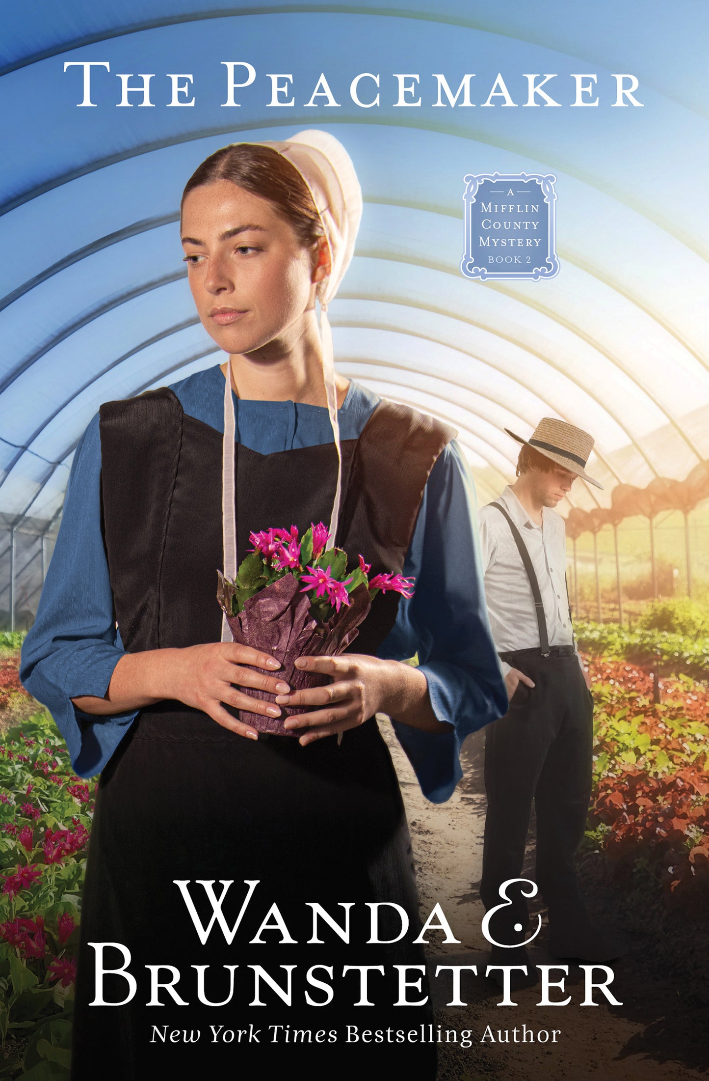 The Peacemaker - The Christian Gift Company