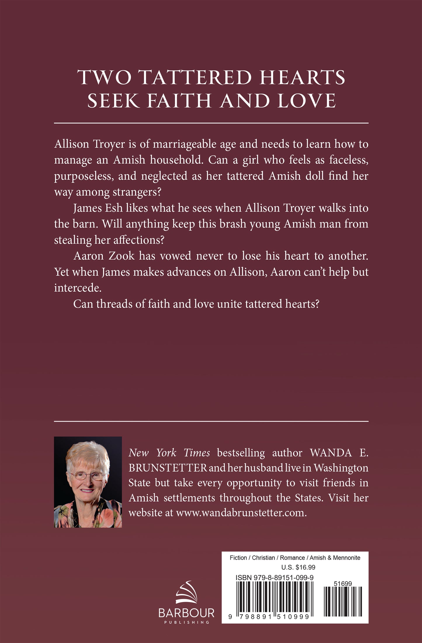 Allison's Journey - The Christian Gift Company