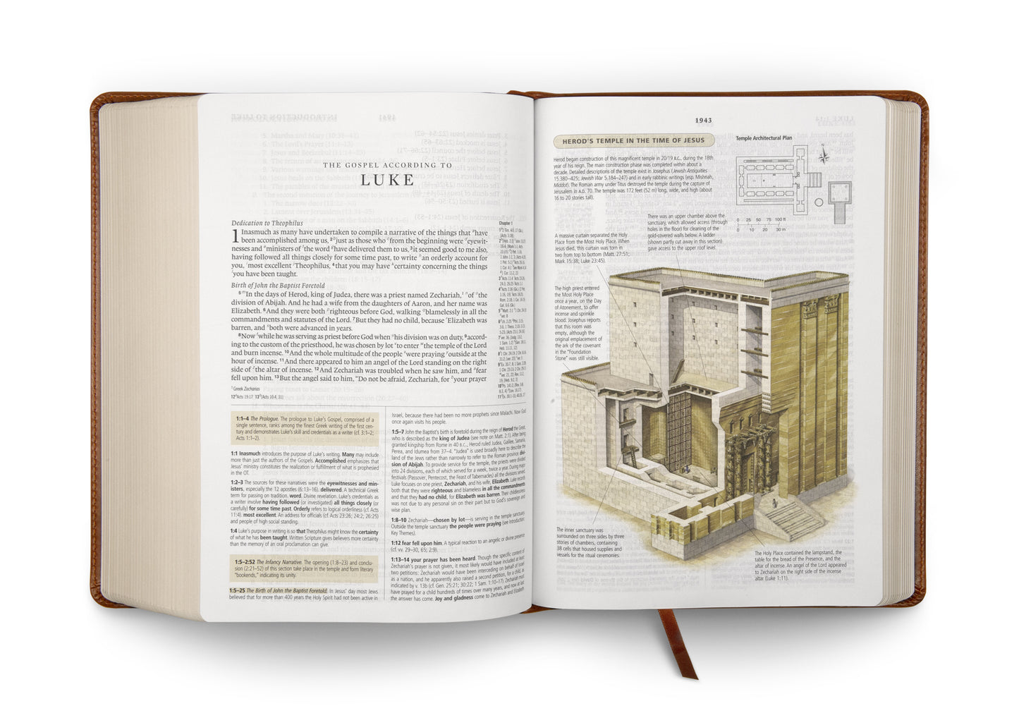ESV Study Bible (TruTone, English Saddle, Ornament Design) - The Christian Gift Company
