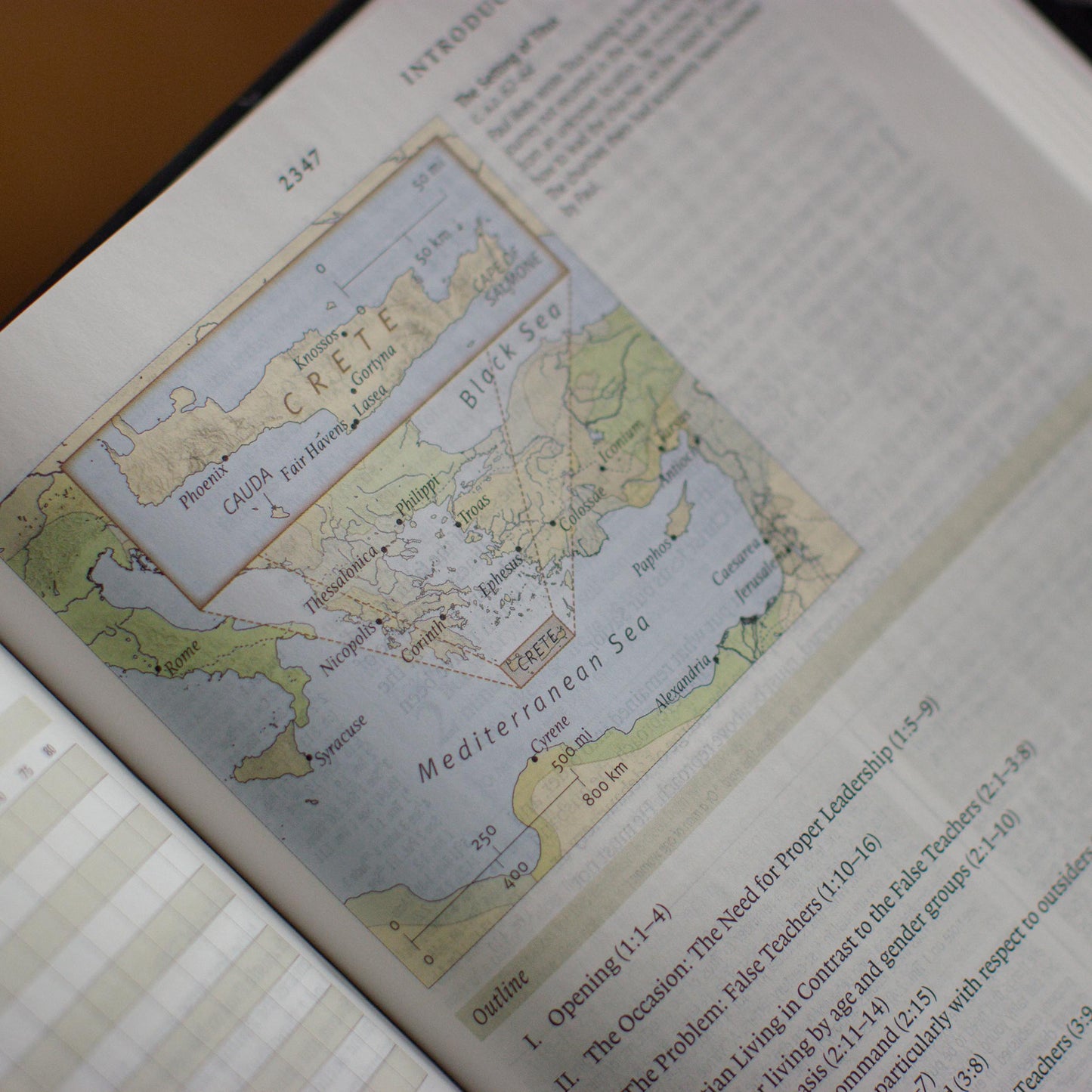 ESV Study Bible (TruTone, English Saddle, Ornament Design) - The Christian Gift Company
