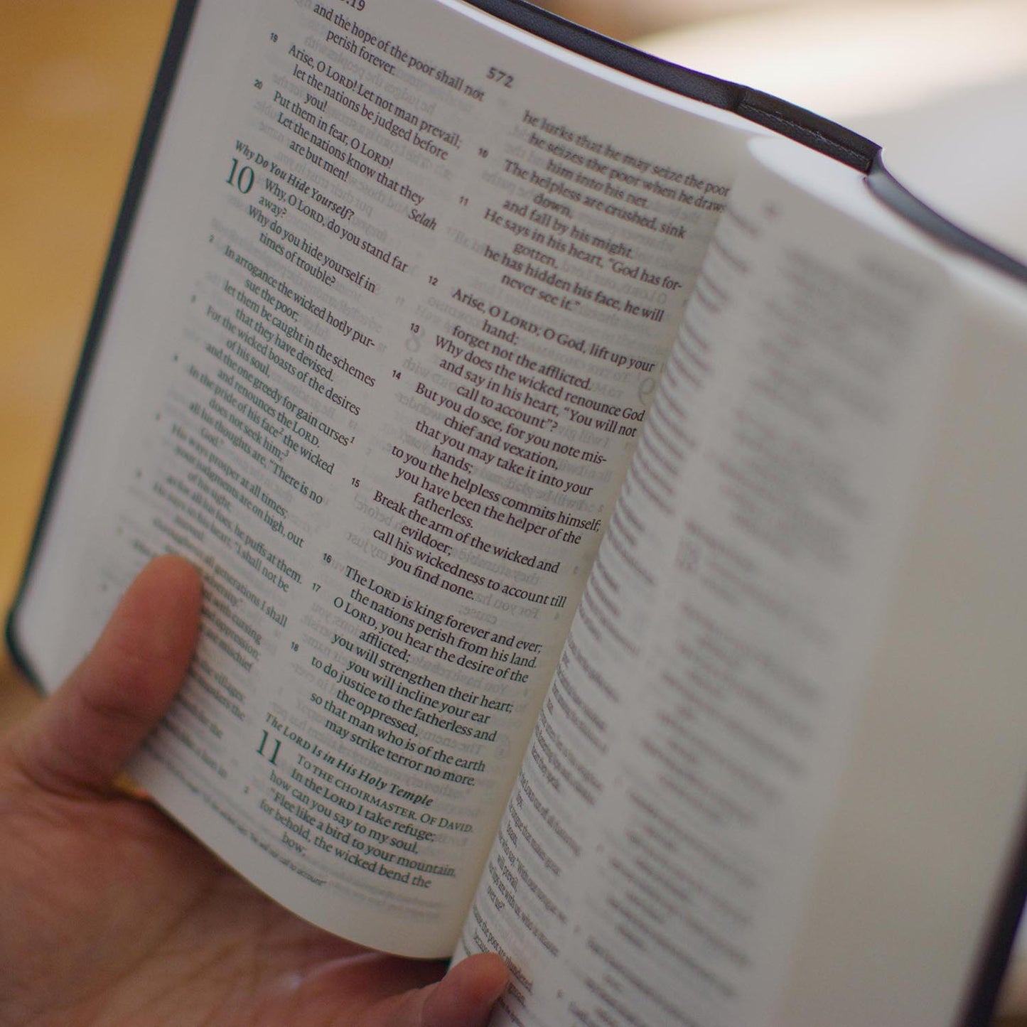 ESV Value Large Print Compact Bible (TruTone, Chestnut Brown) - The Christian Gift Company