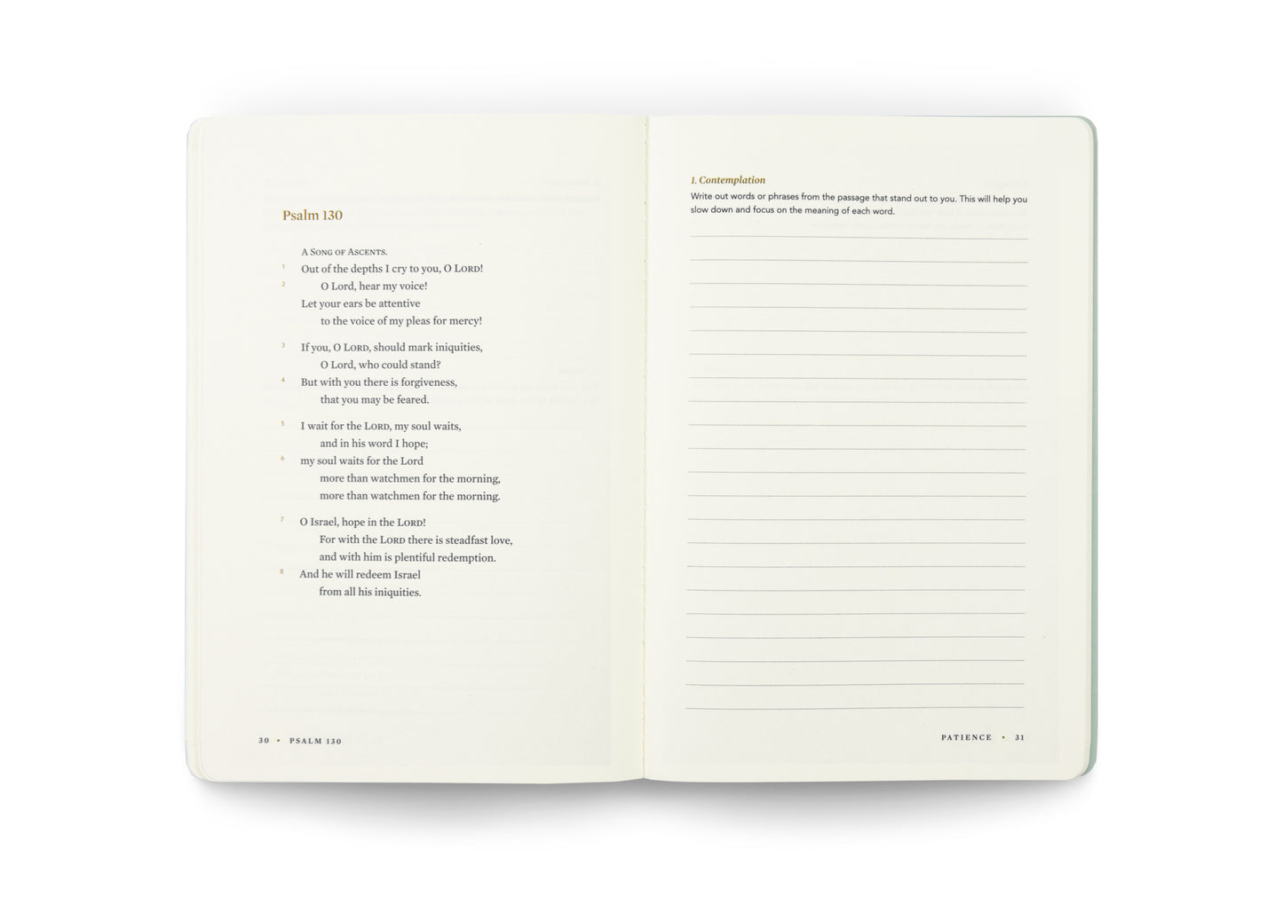 ESV Devotional Journal, Fruit of the Spirit: Patience - The Christian Gift Company