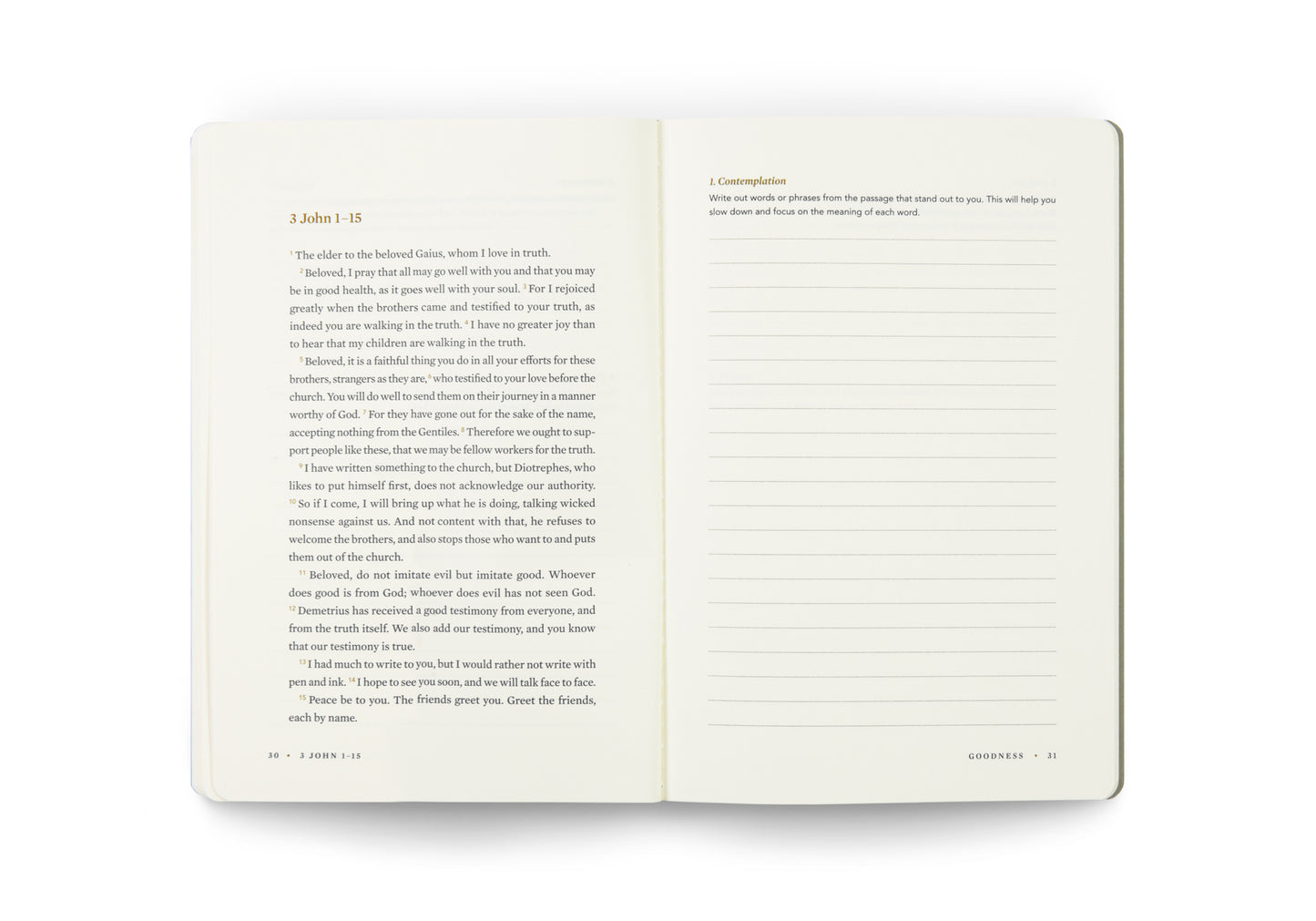 ESV Devotional Journal, Fruit of the Spirit: Goodness - The Christian Gift Company