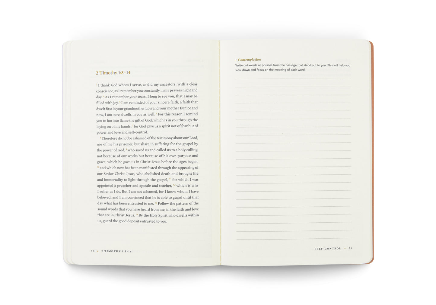 ESV Devotional Journal, Fruit of the Spirit: Self-Control - The Christian Gift Company