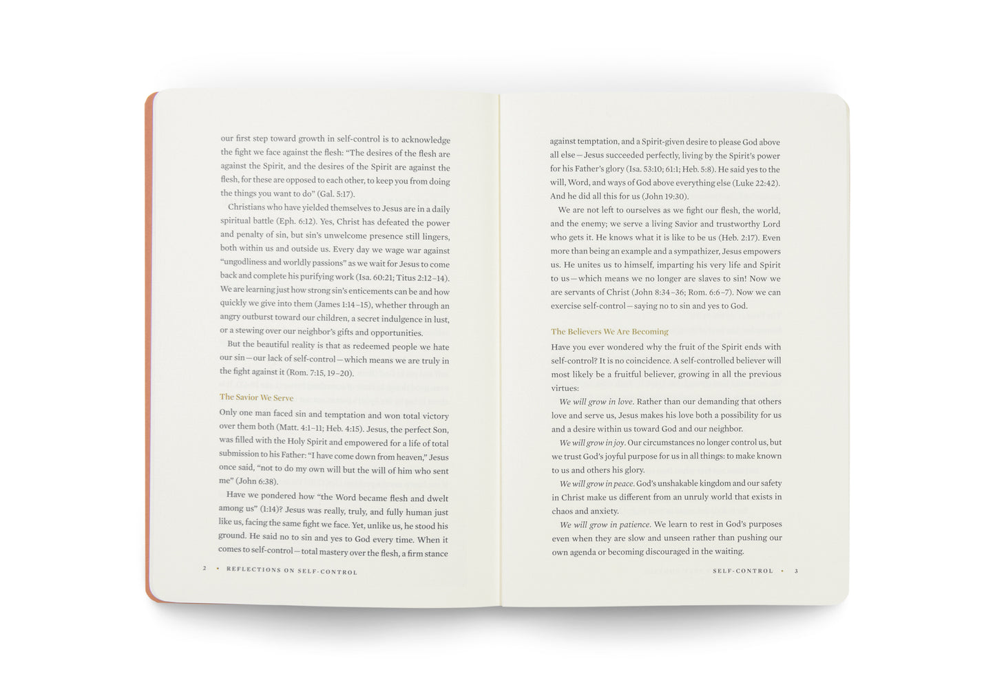 ESV Devotional Journal, Fruit of the Spirit: Self-Control - The Christian Gift Company