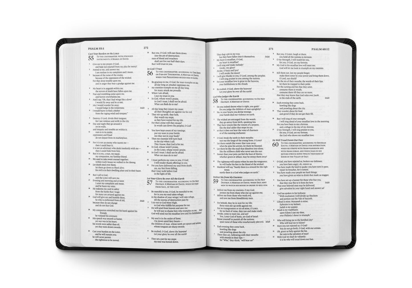 ESV Gift and Award Bible (TruTone, Black) - The Christian Gift Company