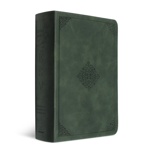 ESV Study Bible, Personal Size, TruTone® - Quiet Forest - The Christian Gift Company