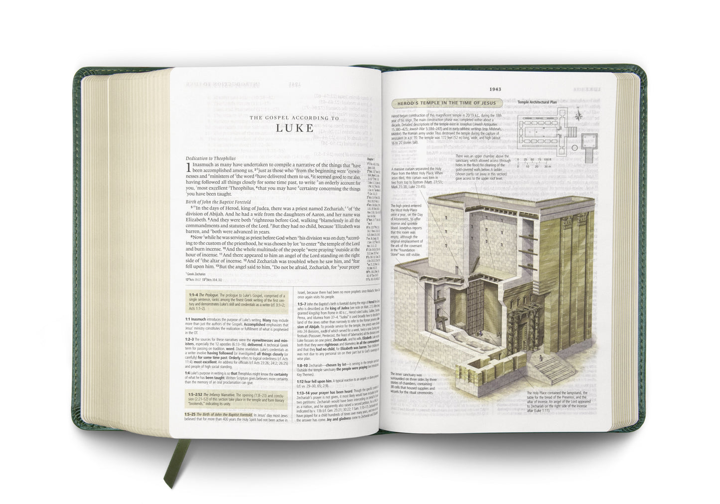 ESV Study Bible, Personal Size, TruTone® - Quiet Forest - The Christian Gift Company