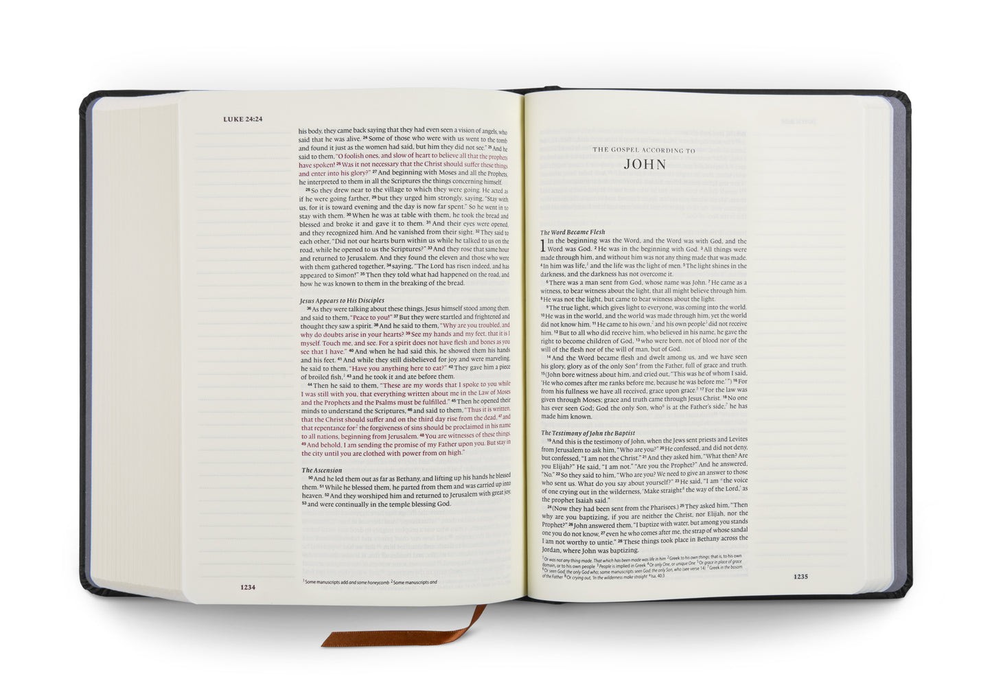 ESV Single Column Journalling Bible®, Artist Series - The Lion And The Lamb - The Christian Gift Company