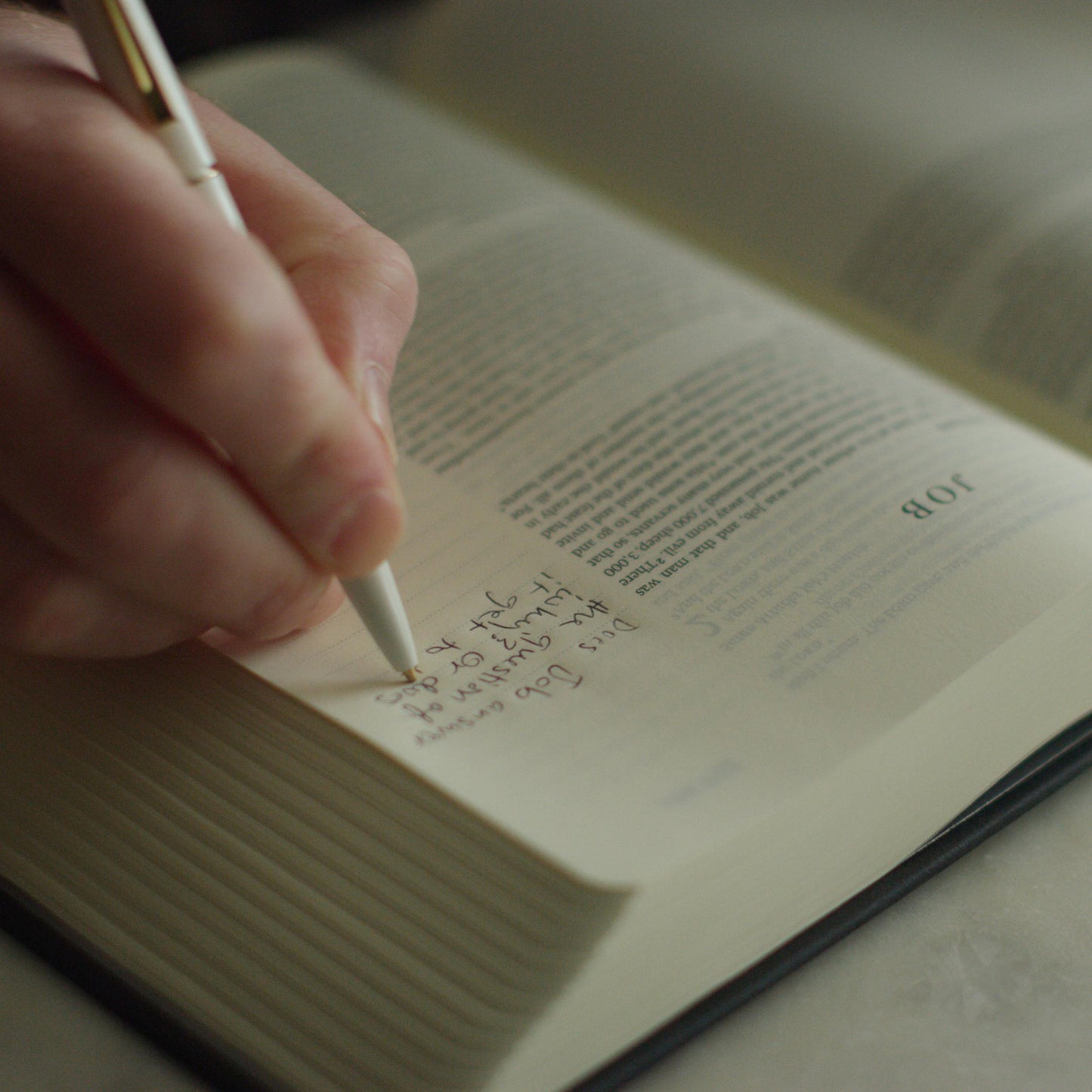 ESV Single Column Journalling Bible®, Artist Series - The Lion And The Lamb - The Christian Gift Company