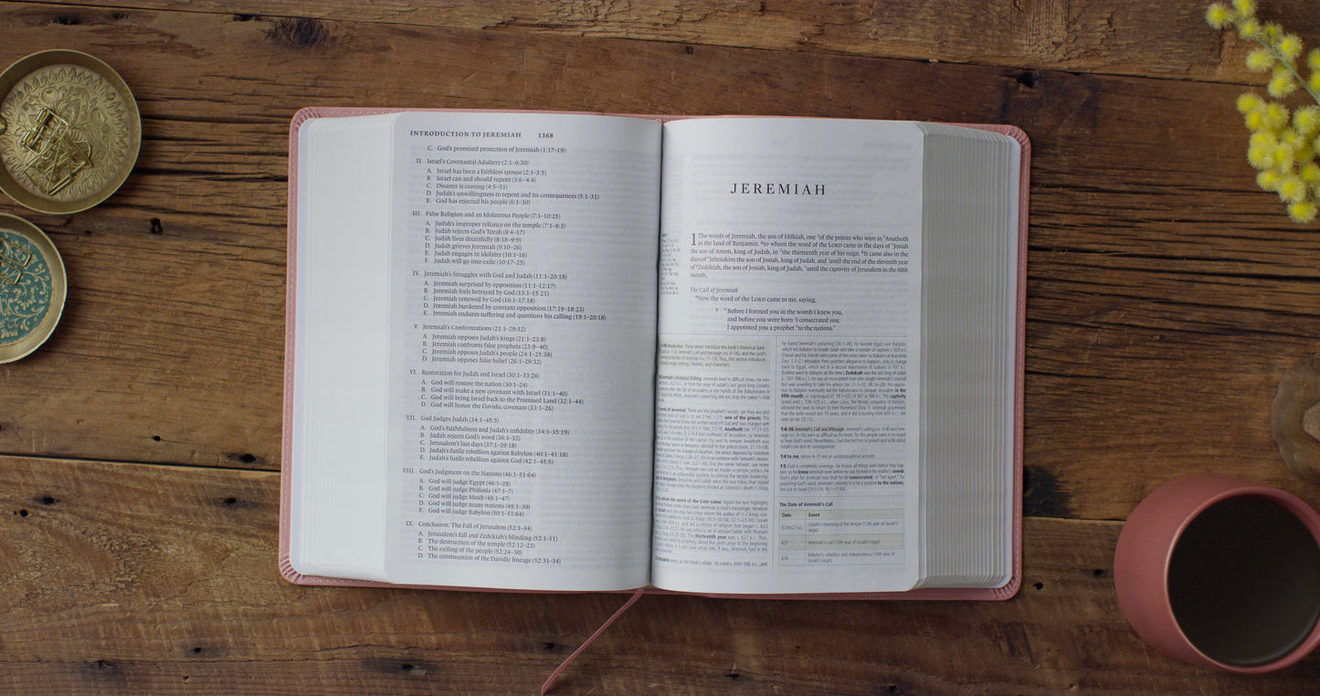 ESV Study Bible, Personal Size, TruTone®, Blush Rose - The Christian Gift Company