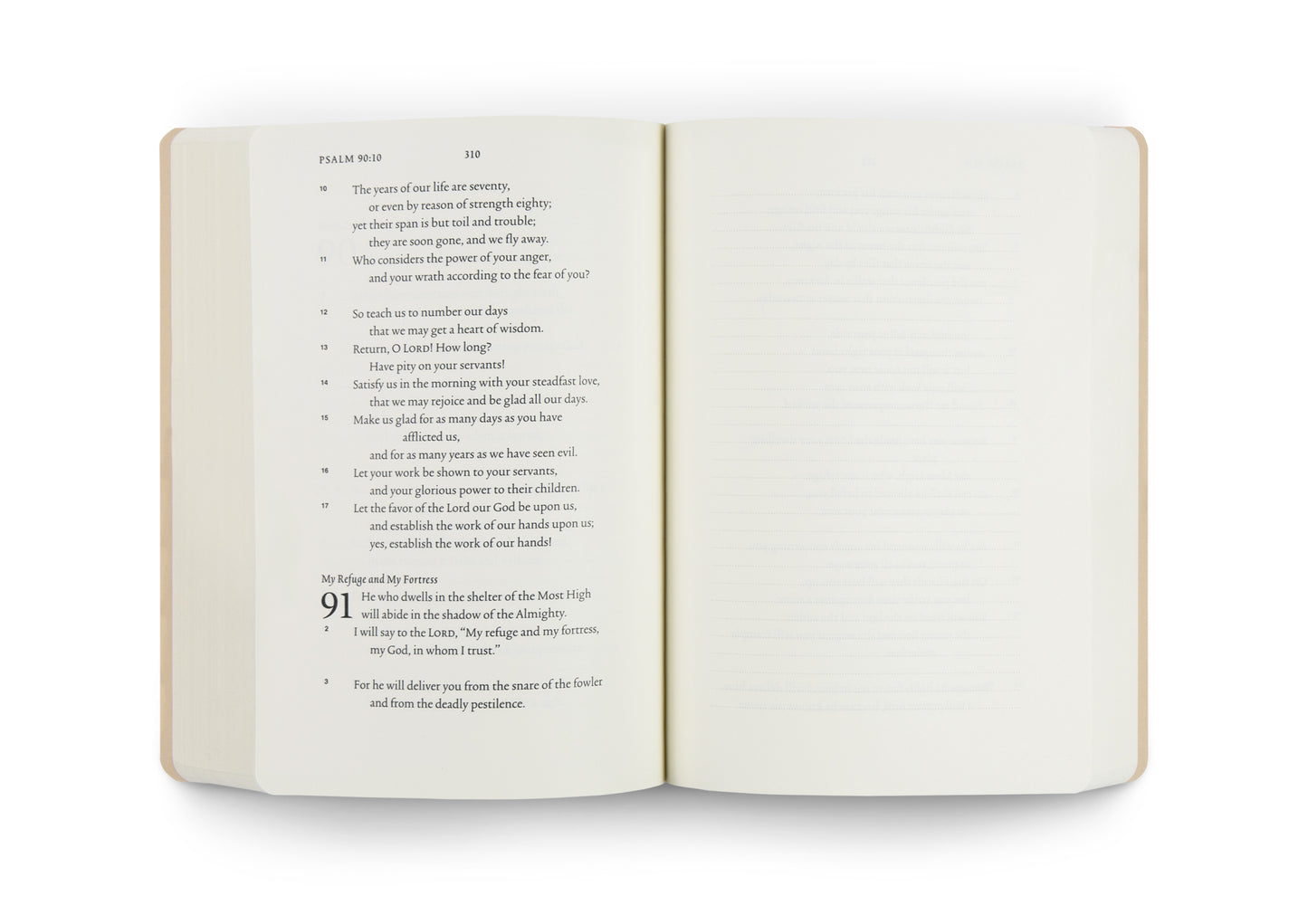 ESV Scripture Journal: Psalms - The Christian Gift Company