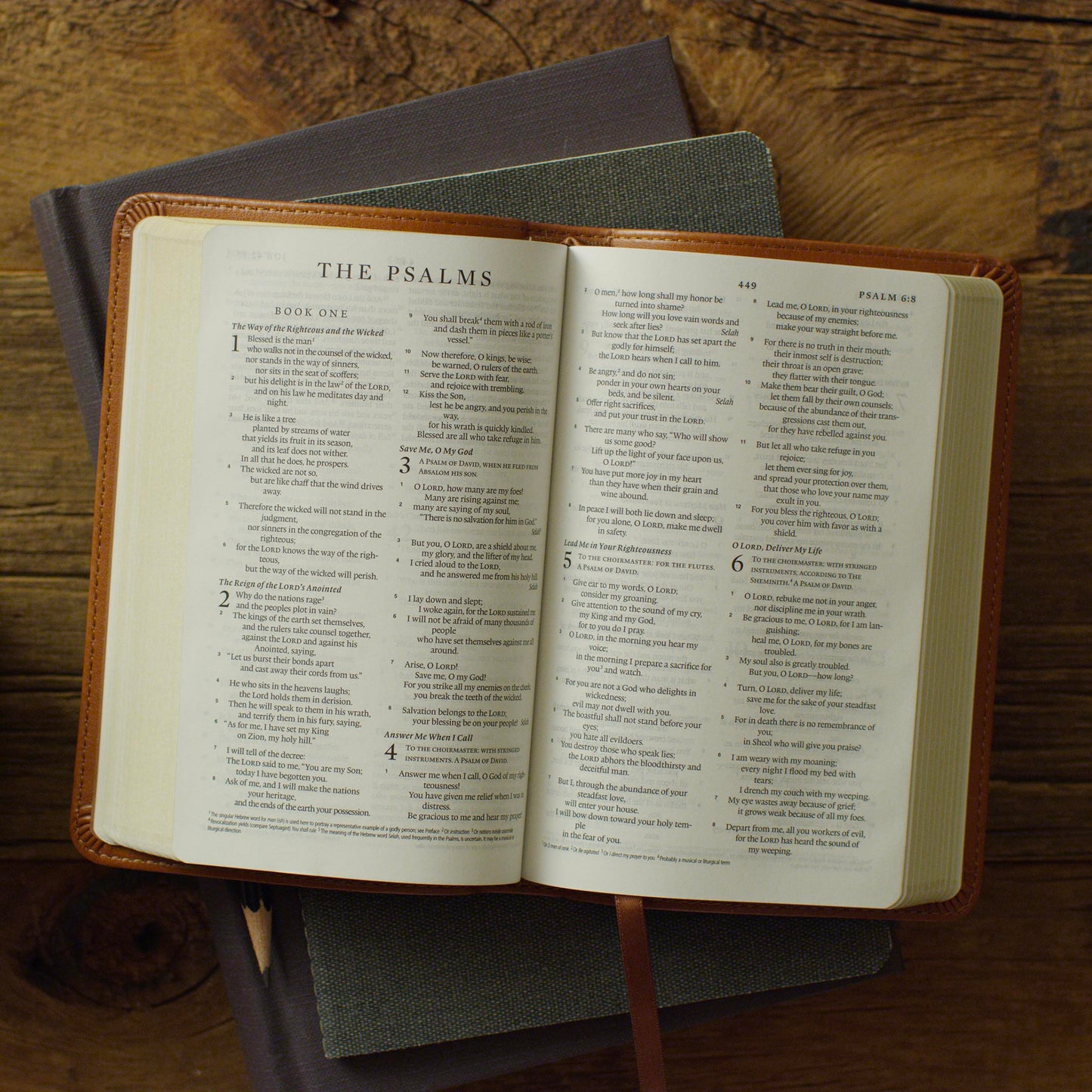 ESV Compact Bible, TruTone®, English Saddle - The Christian Gift Company