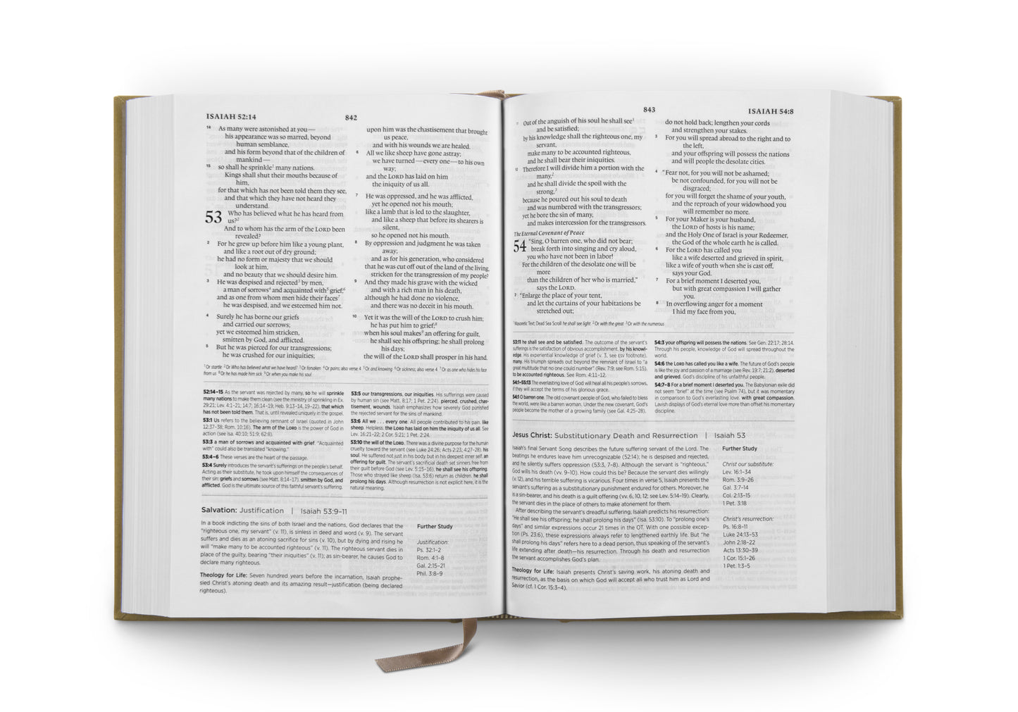ESV Systematic Theology Study Bible, Ochre - The Christian Gift Company