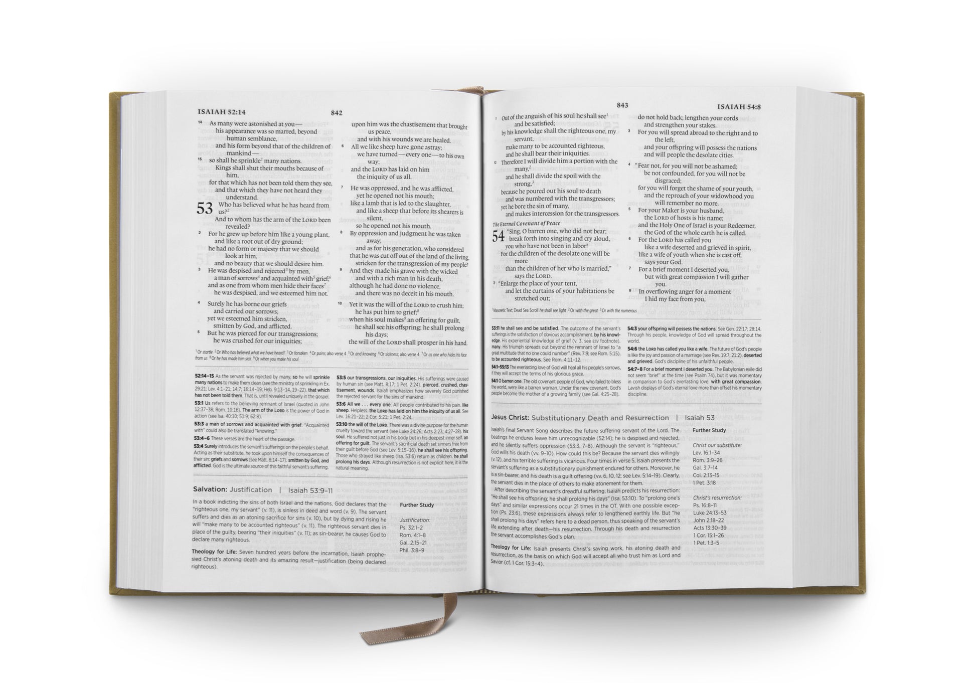 ESV Systematic Theology Study Bible, Ochre - The Christian Gift Company