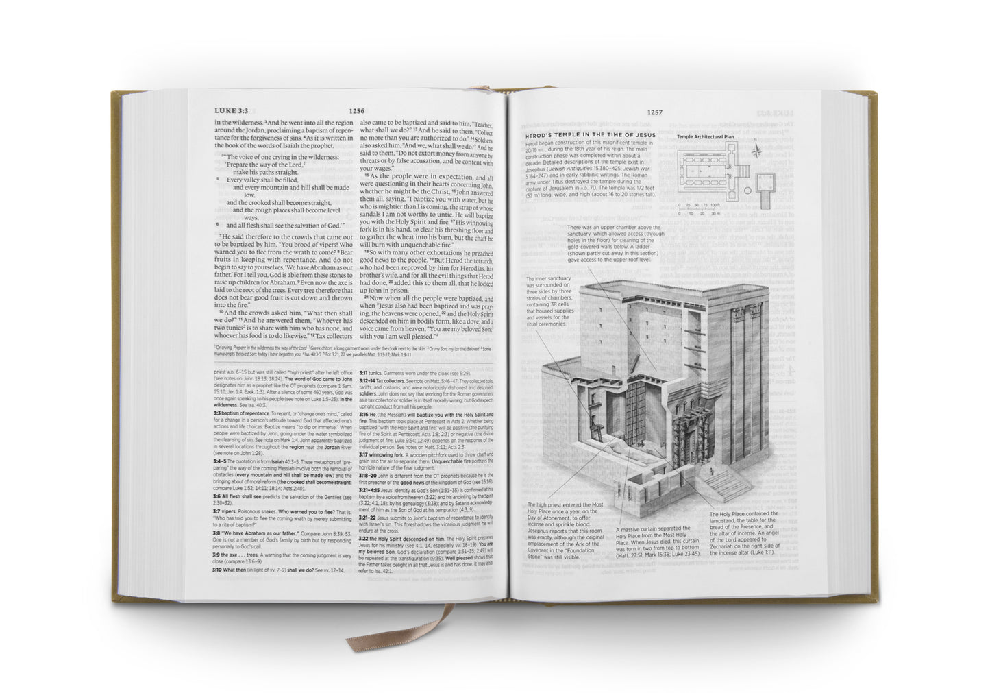 ESV Systematic Theology Study Bible, Ochre - The Christian Gift Company
