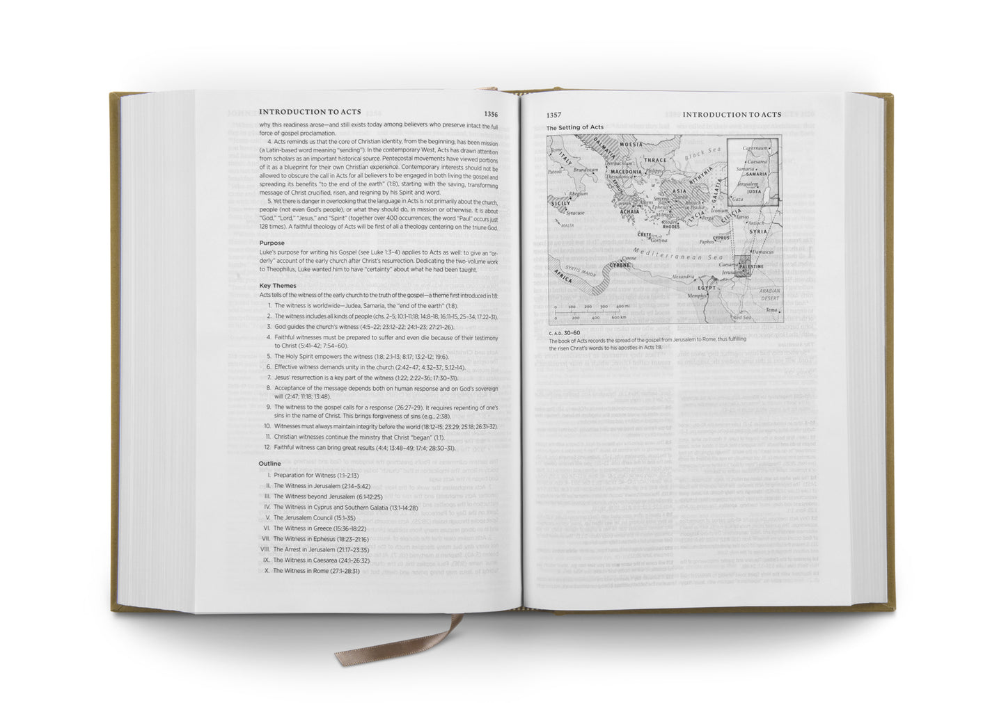 ESV Systematic Theology Study Bible, Ochre - The Christian Gift Company