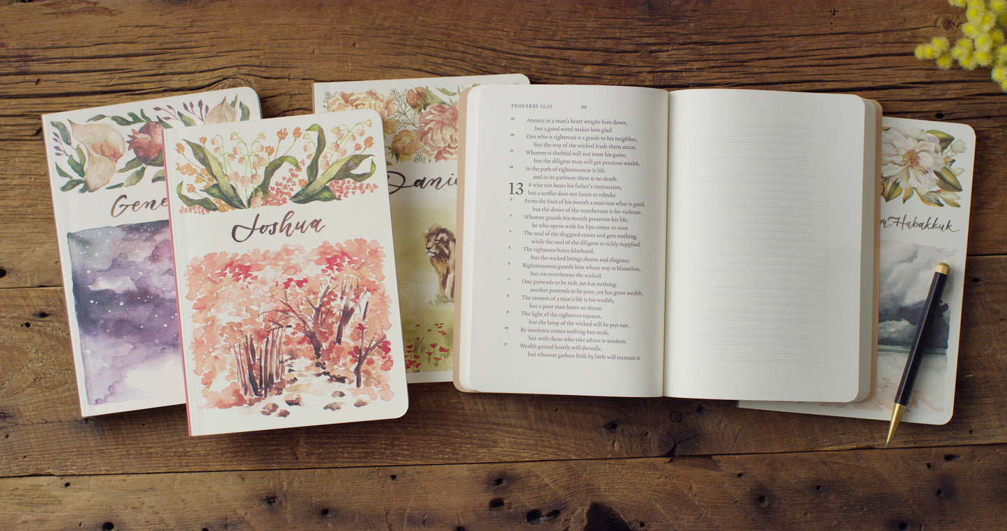 ESV Scripture Journal Box Set - Old Testament - The Christian Gift Company