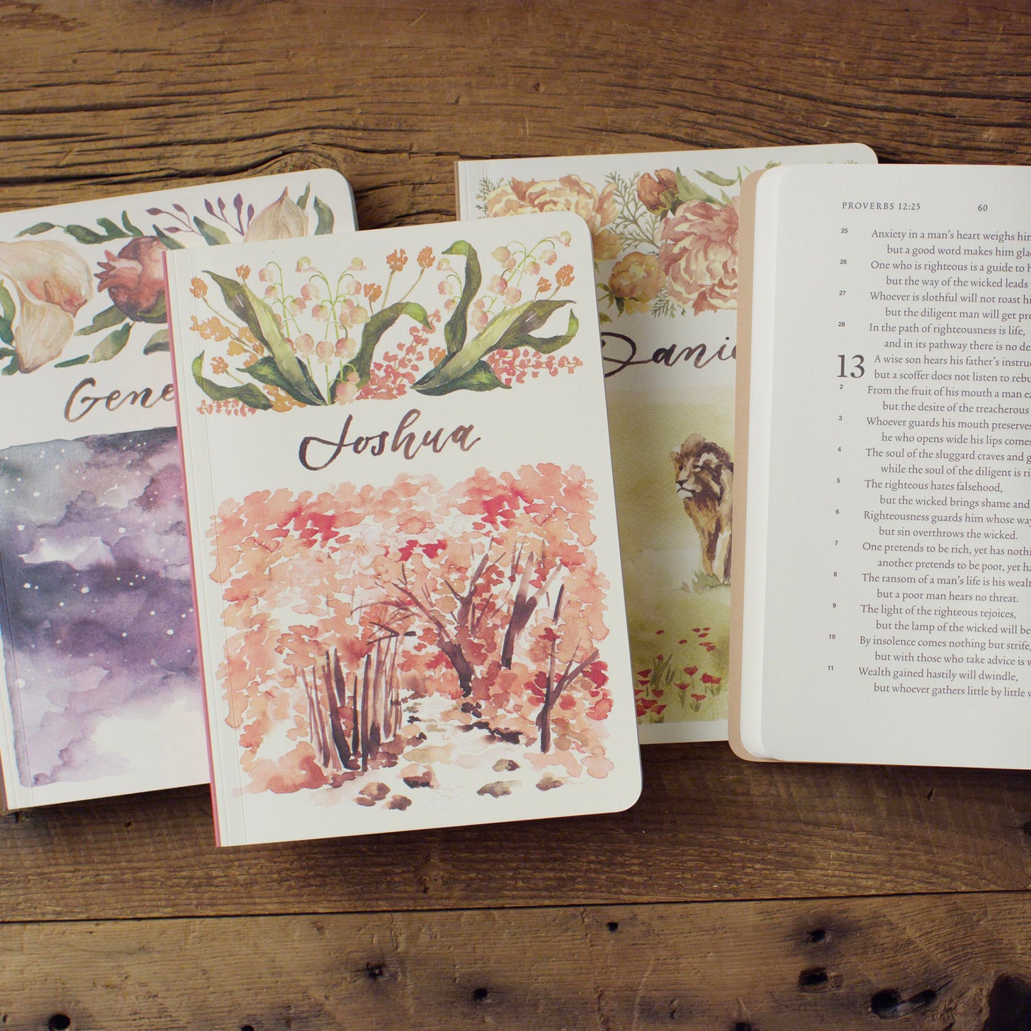 ESV Scripture Journal Box Set - Old Testament - The Christian Gift Company
