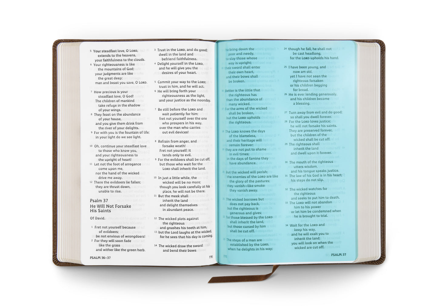 ESV Dyslexia-Friendly Edition, TruTone®, Brown - The Christian Gift Company