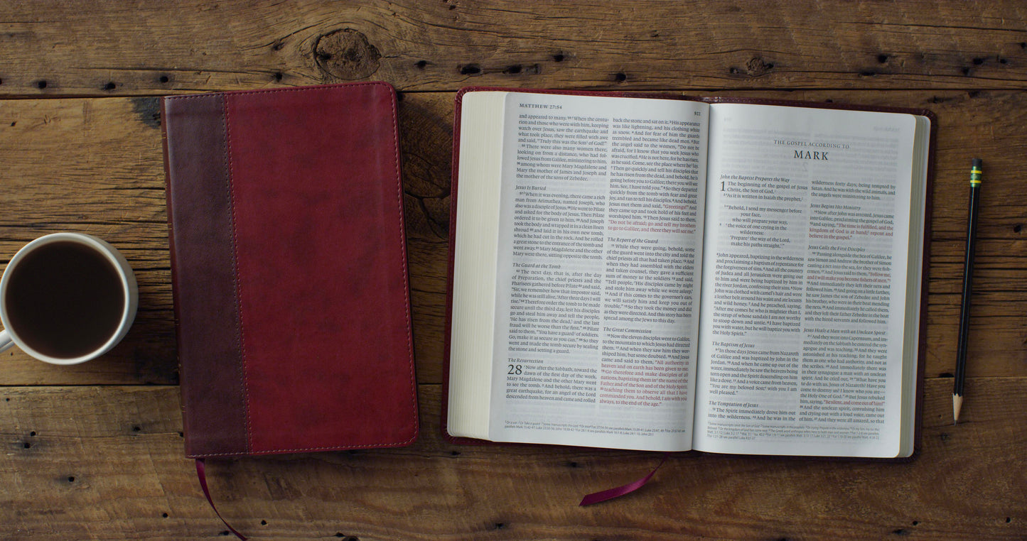 ESV Large Print Thinline Bible, Red Letter, TruTone®, Burgundy/Red - The Christian Gift Company