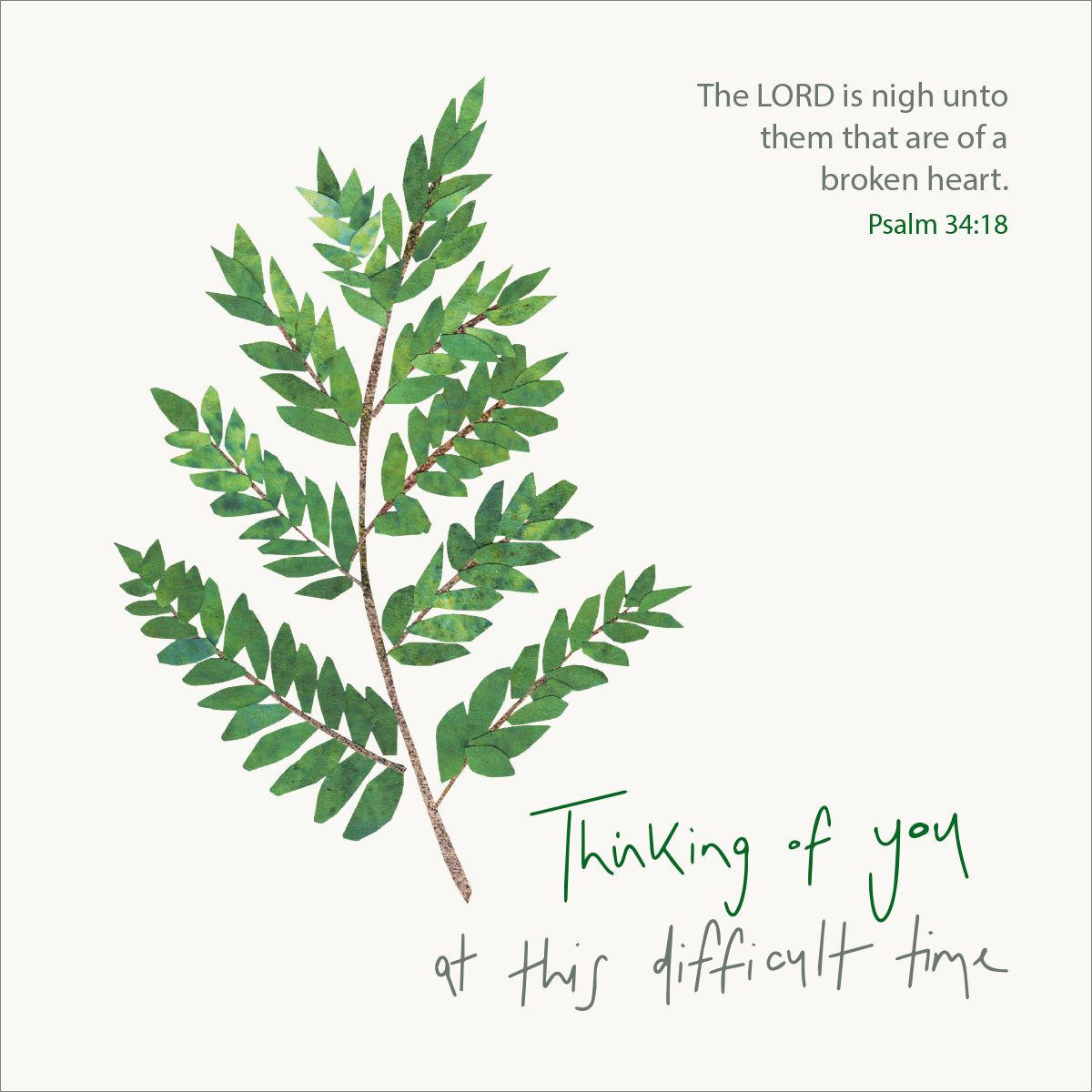 Thinking Of You Card - Branch - The Christian Gift Company