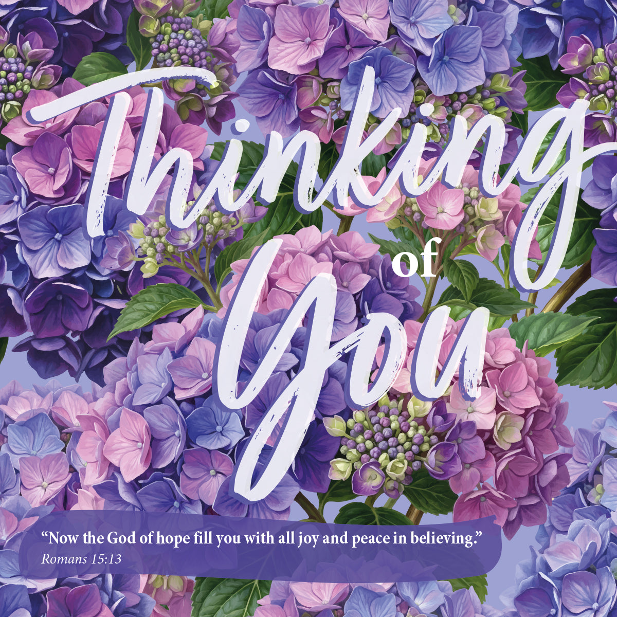 Thinking of You Card - Hydrangeas