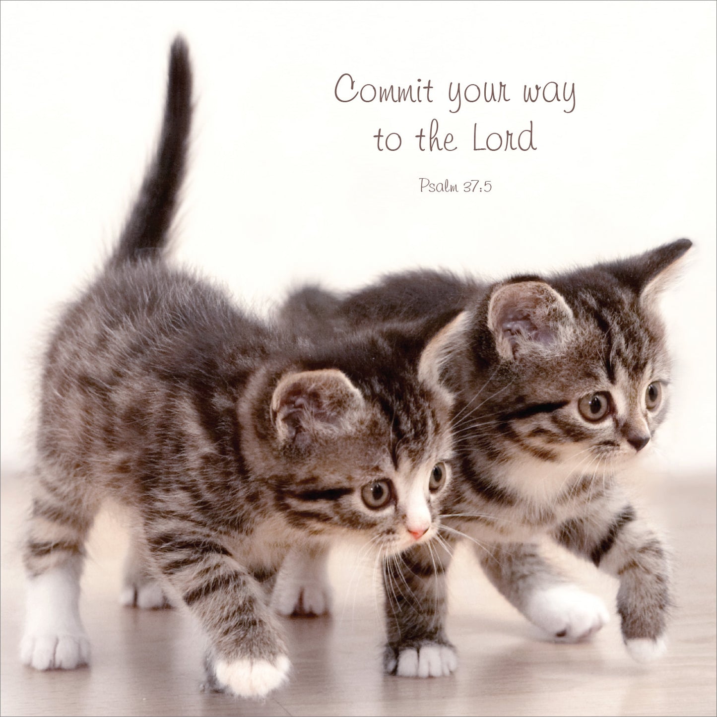 Mini Wall Plaque - Kittens: Commit your way to the Lord - The Christian Gift Company